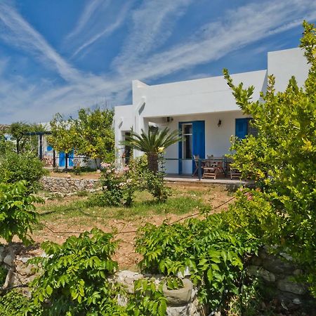 Pleiades Apartments Lefkos  Bagian luar foto