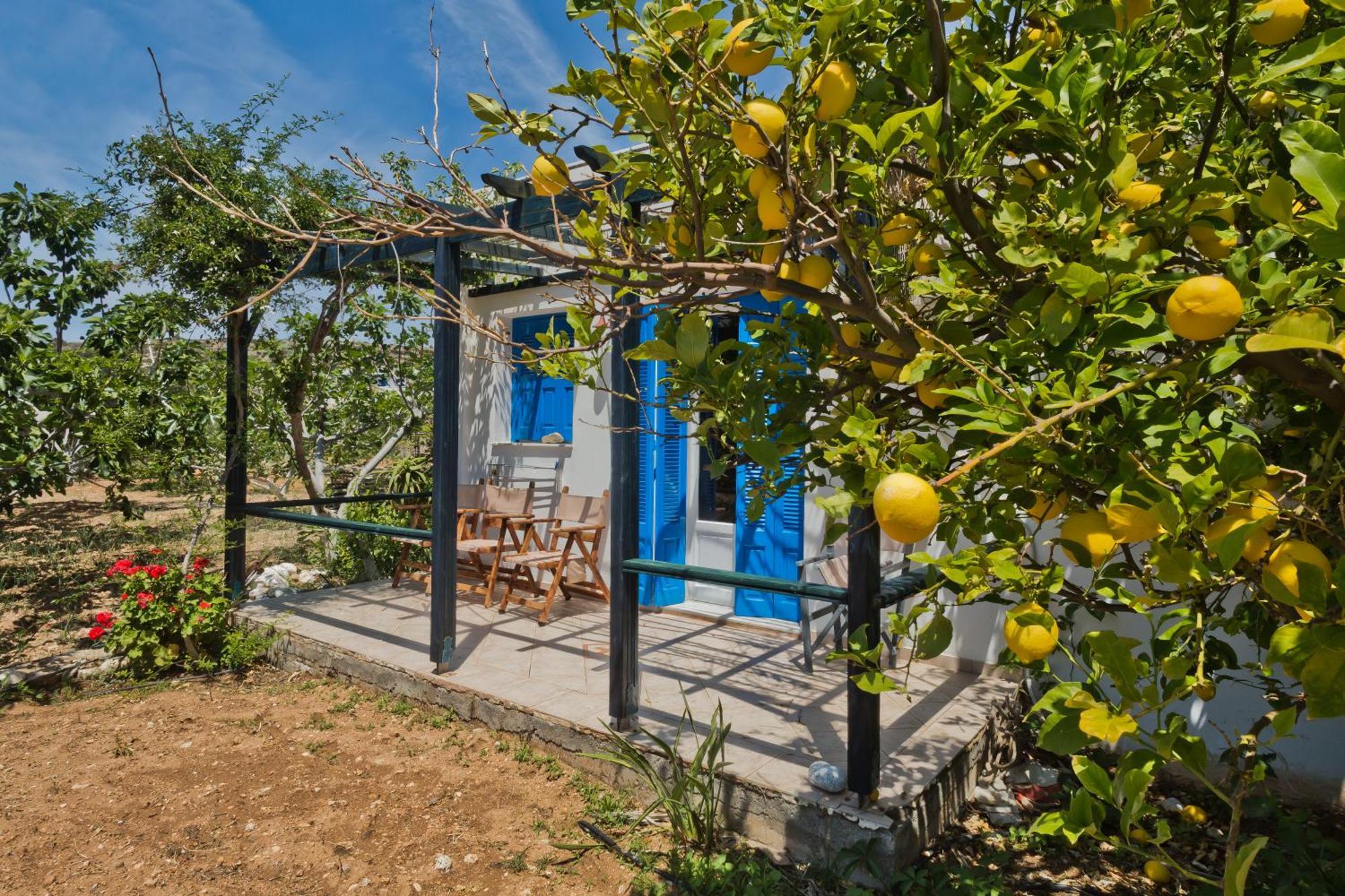 Pleiades Apartments Lefkos  Bagian luar foto