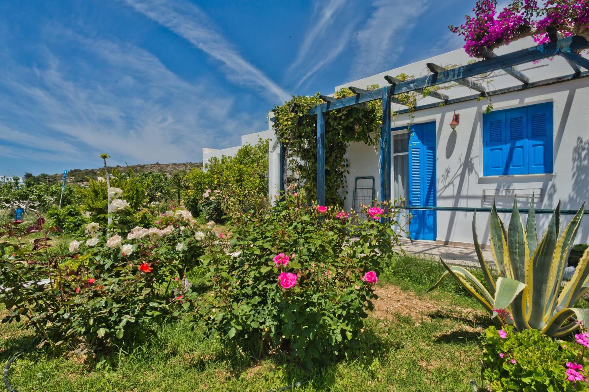 Pleiades Apartments Lefkos  Bagian luar foto